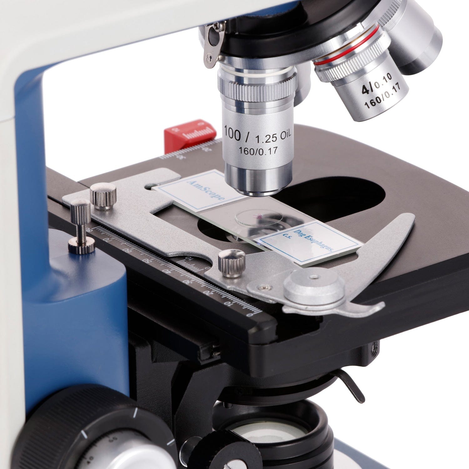 Microscope Compound 40X - Microscope composé binoculaire pour étudiants AmScope,