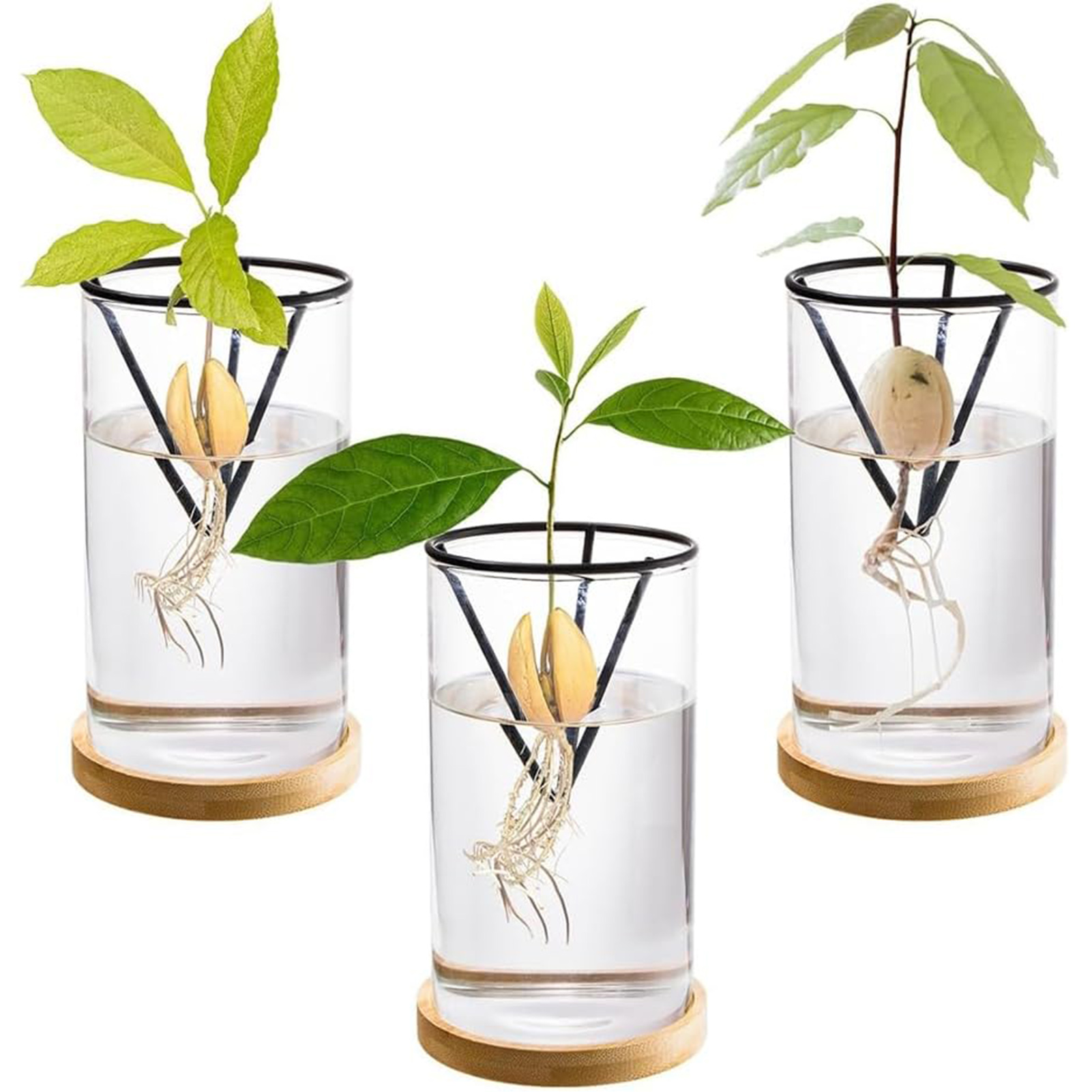 1 ensemble de Kits de culture  - Crystal Growing Kit avis et prix