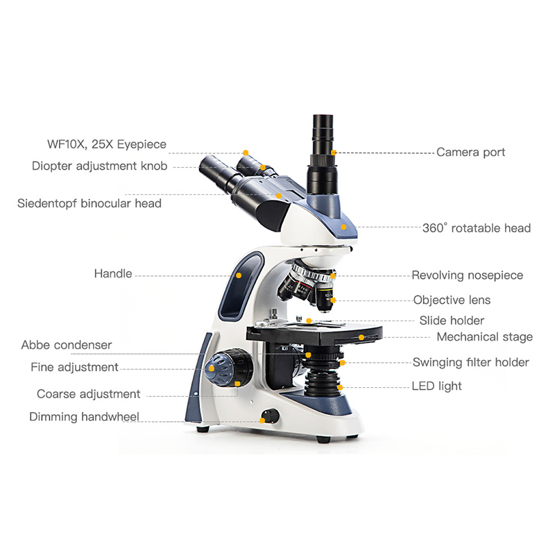 Microscope composé trinoculair - Microscope Compound 40X avis et prix